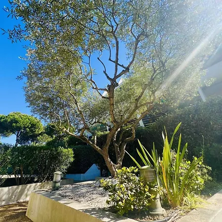 Apartament Villegiales Tee1 - Dans Avec Piscine Mae-1184 *
